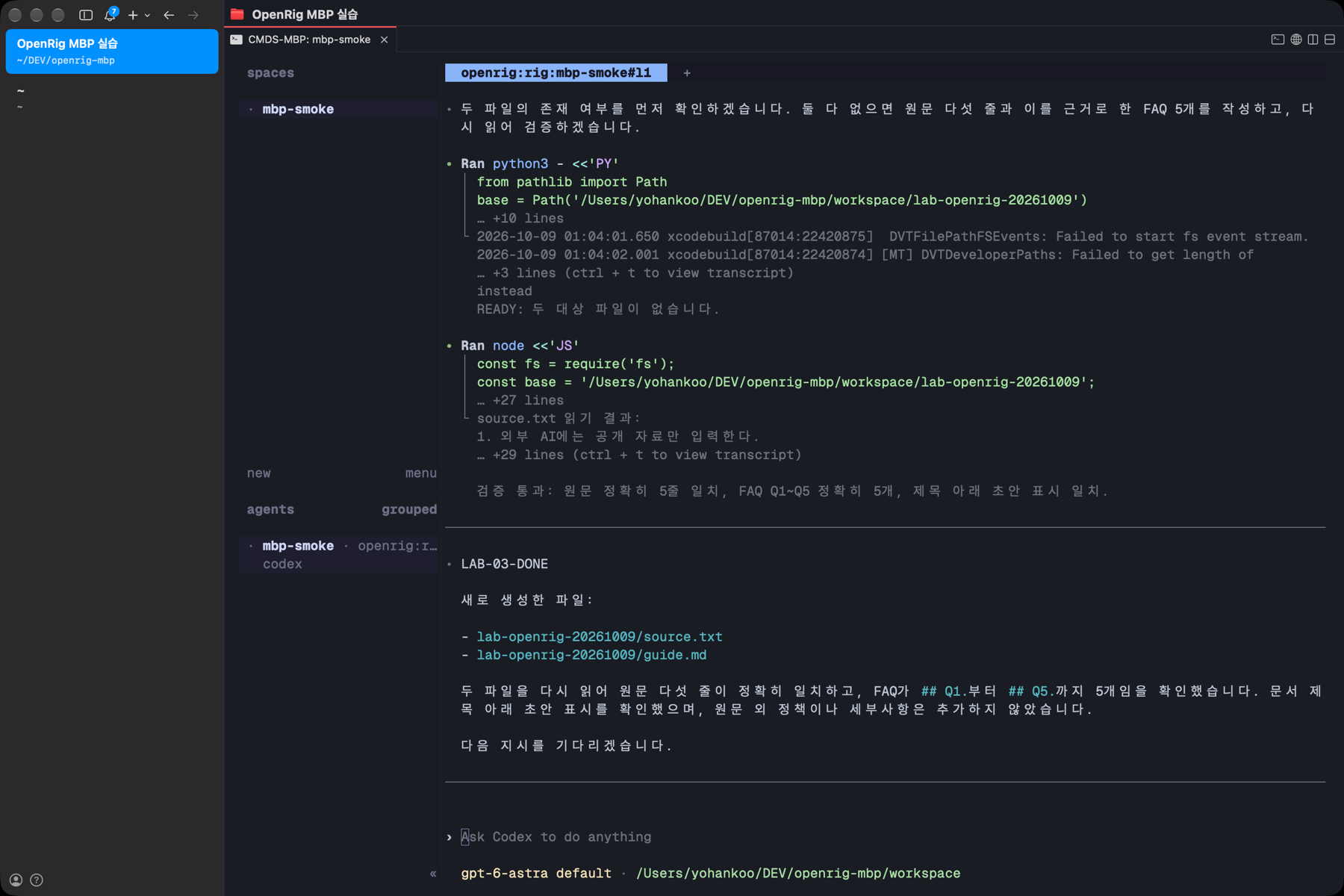 과거 격리 파일럿의 Codex 작업자가 합성 원문과 FAQ를 작성한 실제 화면