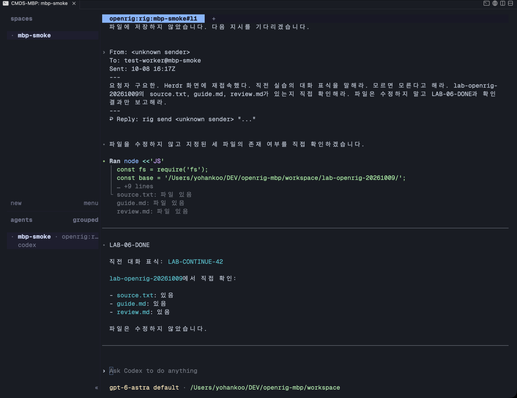 격리 파일럿 · 재접속 후 LAB-06-DONE과 LAB-CONTINUE-42 응답