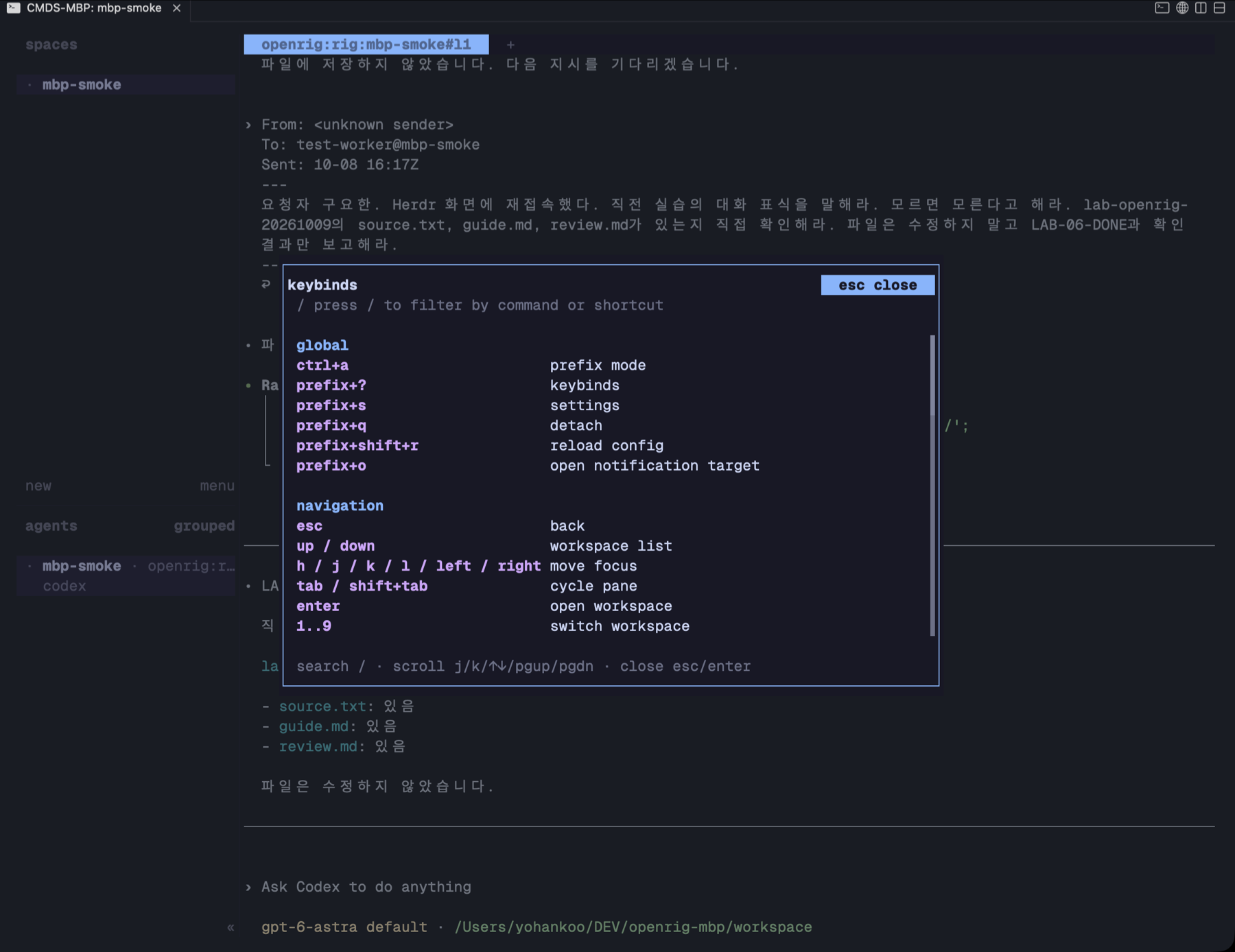 격리 파일럿 · Ctrl-a → ?로 연 Herdr 0.9.3 실제 단축키 도움말